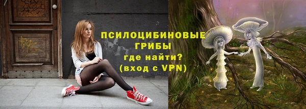 мяу мяу мука Баксан