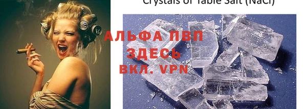 мяу мяу мука Баксан