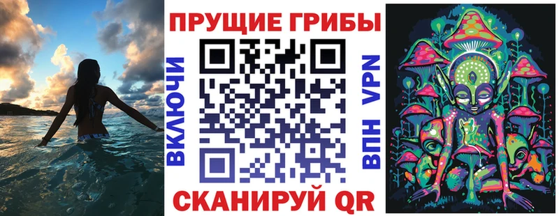 Псилоцибиновые грибы Cubensis  где купить наркоту  MEGA маркетплейс  Усть-Катав 